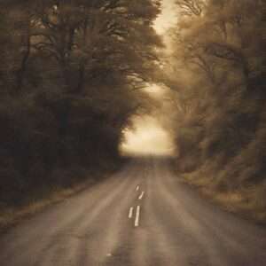 The Road Not Taken by Robert Frost image