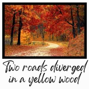 Two roads diverged in a yellow wood from The Road Not Taken by Robert Frost