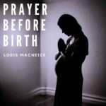 Prayer Before Birth by Louis MacNeice study guide