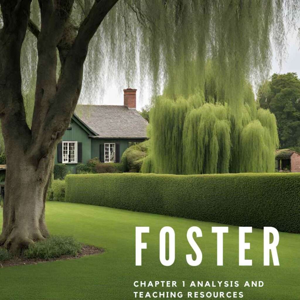 Foster by Claire Keegan chapter 1 analysis and teaching resources