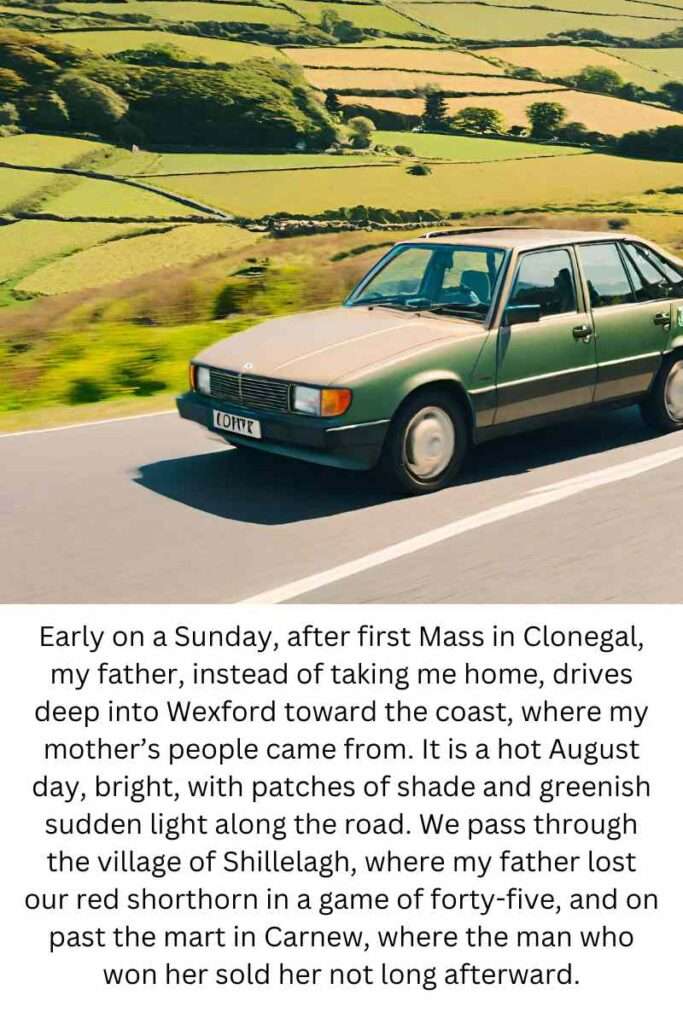 Foster by Claire Keegan Early on a Sunday, after first Mass in Clonegal, my father, instead of taking me home, drives deep into Wexford toward the coast