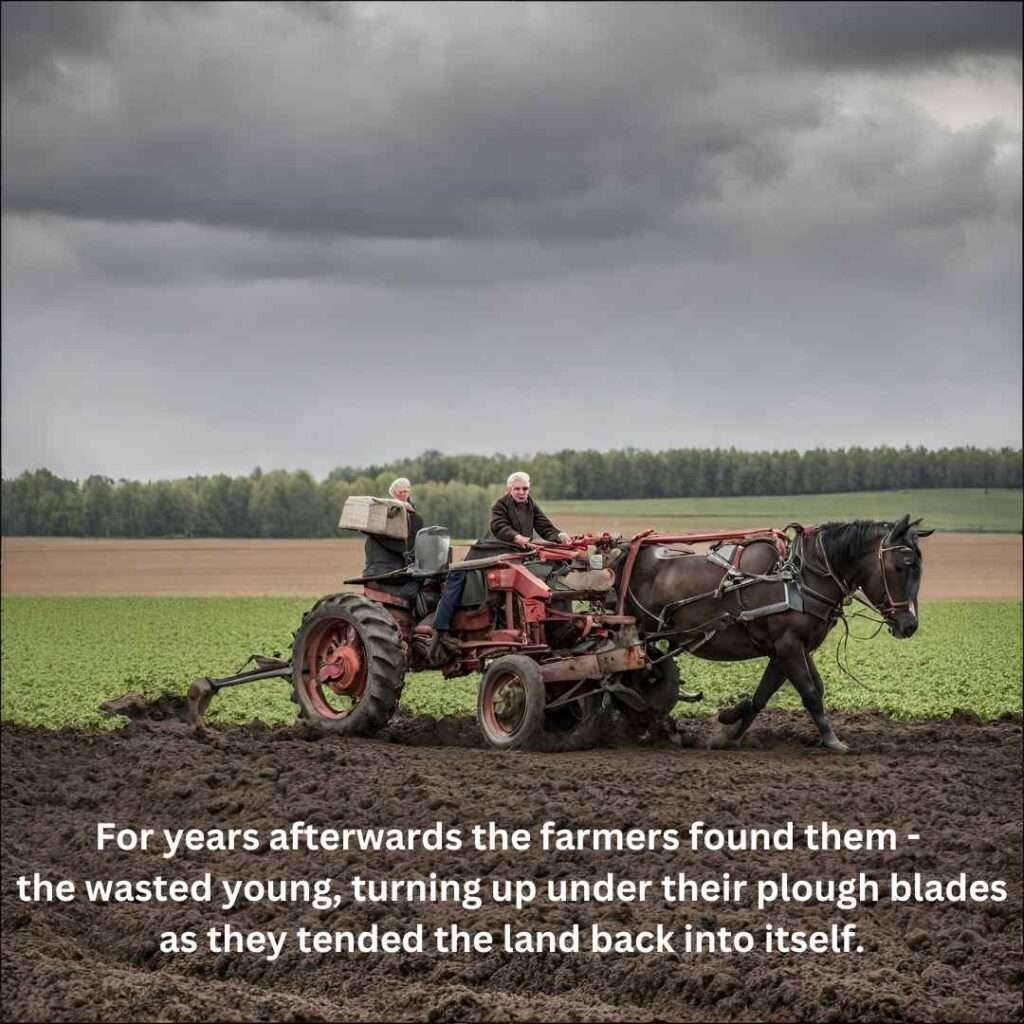 Mametz Wood verse 1: For years afterwards the farmers found them – the wasted young, turning up under their plough blades as they tended the land back into itself.