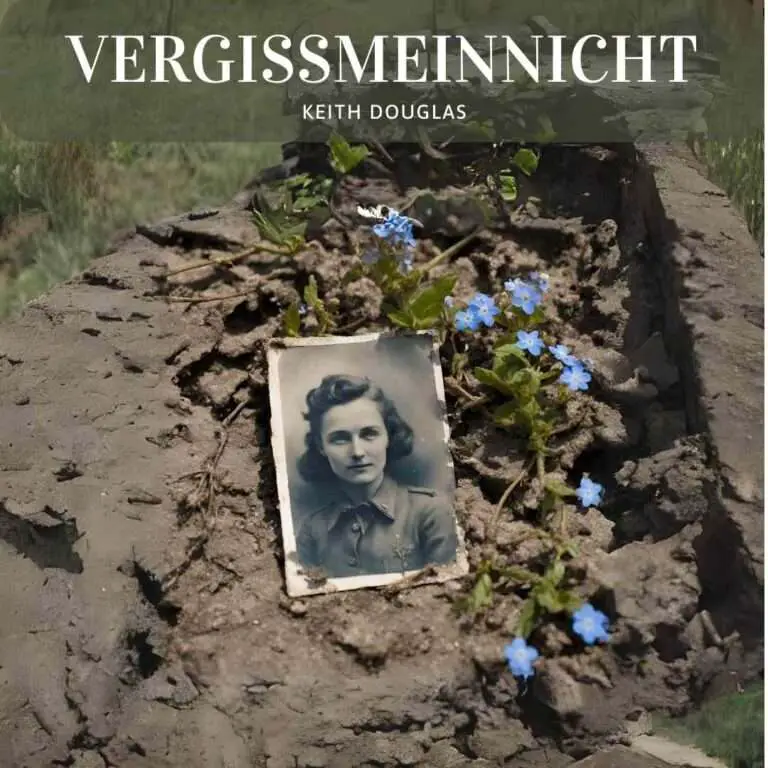 Vergissmeinnicht by Keith Douglas - image of a photograph of a soldier's girlfriend with forget me nots growing nearby.