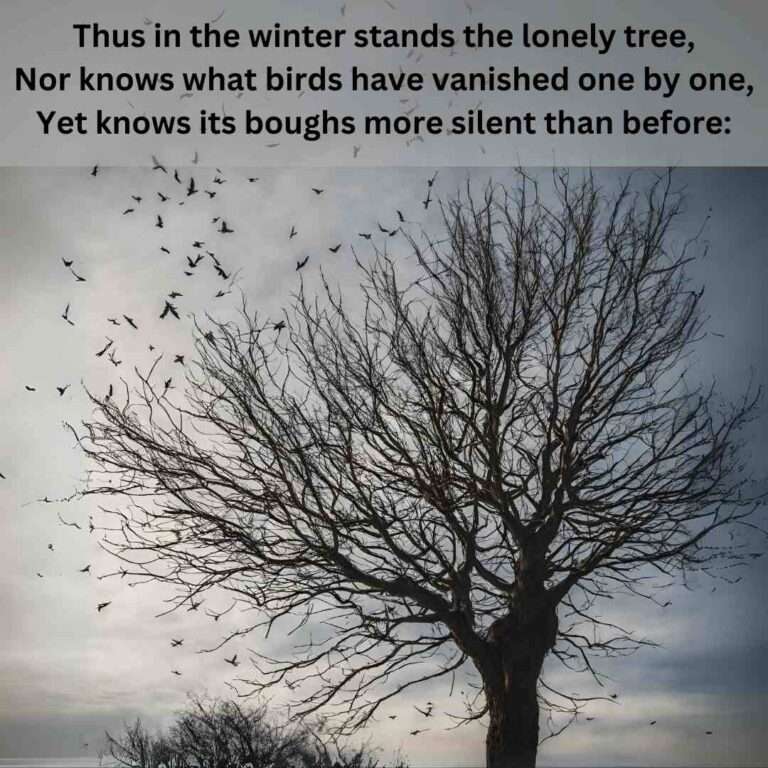 tree in winter with birds flying away with metaphor from edna St. Vincent Millay's sonnet 'What my lips have kissed, and where, and why'