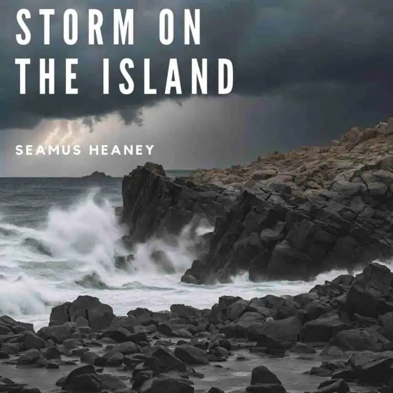 Storm on the Island by Seamus Heaney AQA Power and Conflict