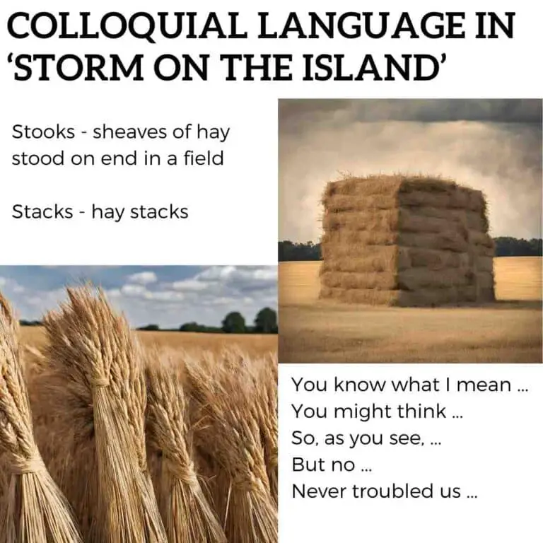 Colloquial language in 'Storm on the Island' by Seamus Heaney