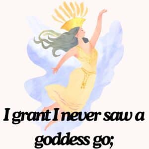 I grant I never saw a goddess go Sonnet 130 William Shakespeare