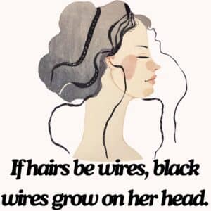 If hairs be wires, black wires grow on her head. Sonnet 130 William Shakespeare