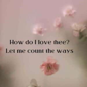 Let me count the ways. Elizabeth Barrett Browning