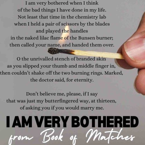 I am very bothered from Book of Matches by Simon Armitage