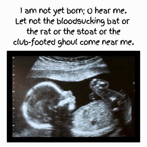 Prayer Before Birth image of foetus in the womb with the line 'I am not yet born, o hear me ...' from the poem.